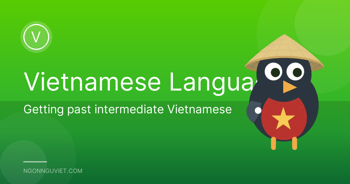 Getting past intermediate Vietnamese