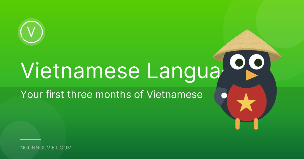 Your first three months of Vietnamese